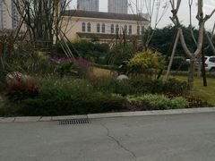 -府河摄影公园
