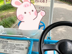 -荷塘月色湿地公园·向阳花洲