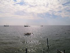 -贡湖湾湿地公园