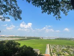 -广州莲花山旅游区