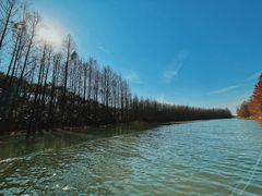 -上海海湾国家森林公园