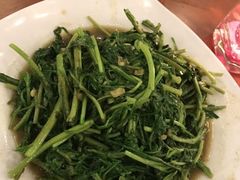-越海渔村