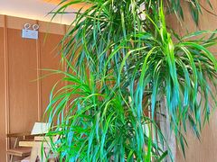 -奈雪的茶(大梅沙8号仓店)