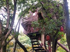 -天门沟九州驿站树上汤泉