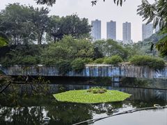 -重庆彩云湖湿地公园