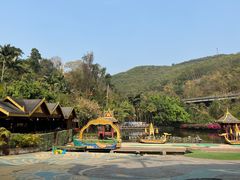 -西双版纳原始森林公园