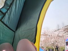-大连植物园