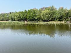 -前关湿地公园