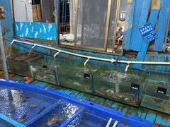 -蓝湾碧波·老字号·疍家非遗海上餐厅