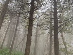 -白草畔自然风景区