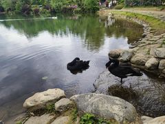 -蝴蝶泉公园