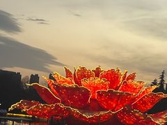 -洛阳市隋唐城遗址植物园