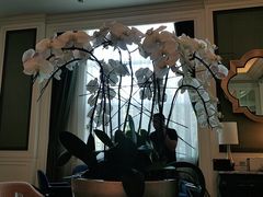 -乐吧