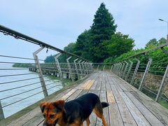 -西京湾花海
