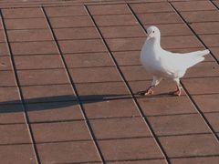 -玄武湖景区-情侣园游乐场