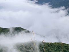 -妙峰山风景名胜区