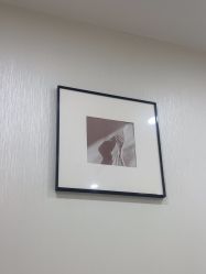 -智美品质医美