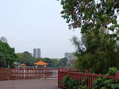 -荔湾湖公园