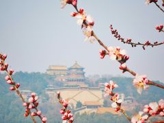 -颐和园