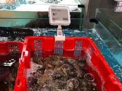 -盒马鲜生(曜一城店)