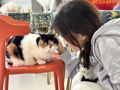 -平行世界·猫咖(首经贸店)