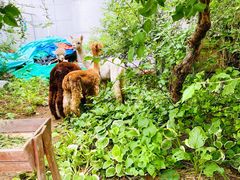 -大连老虎滩海洋公园