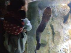 -多彩贵州城极地海洋世界