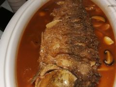 -阿五黄河大鲤鱼(英协路店)