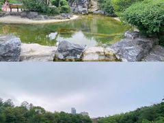 -上海吴淞炮台湾国家湿地公园