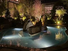 -清河半岛温泉度假酒店