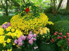 -杭州植物园