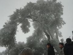 -南岳衡山风景名胜区