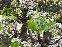 -梁鸿国家湿地公园