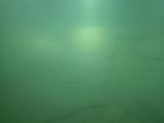 -白鹤梁水下博物馆
