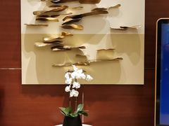-上海雅居乐万豪侯爵酒店