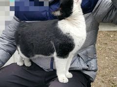 -同济大学(嘉定校区)