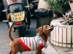 -本無咖啡·BeanWood Coffee