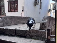 -丝绸小镇荻港古村