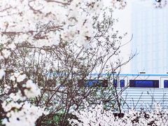 -堤角公园