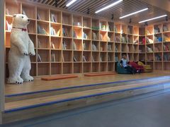 -瑞丁熊原版阅读(大华校区)