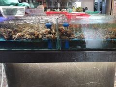 -阿伟海鲜楼·福建菜(延寿店)