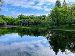 -上海共青森林公园