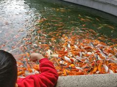 -广东圆玄道观
