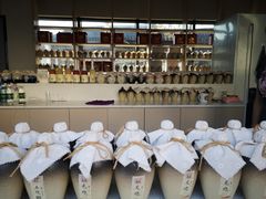 -雅达·阳羡溪山小镇中心