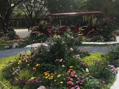 -人民公园(罗湖区)