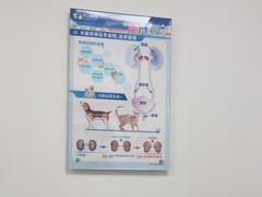 -瑞派雷欧宠物医院·24h夜诊·心脏骨科牙科·全科重症转诊中心(无影山店)