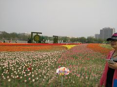 -廊坊文化艺术中心