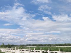 -呼兰河口湿地公园