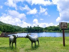 -海南热带雨林国家公园吊罗山景区