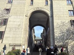 -武汉大学-樱园